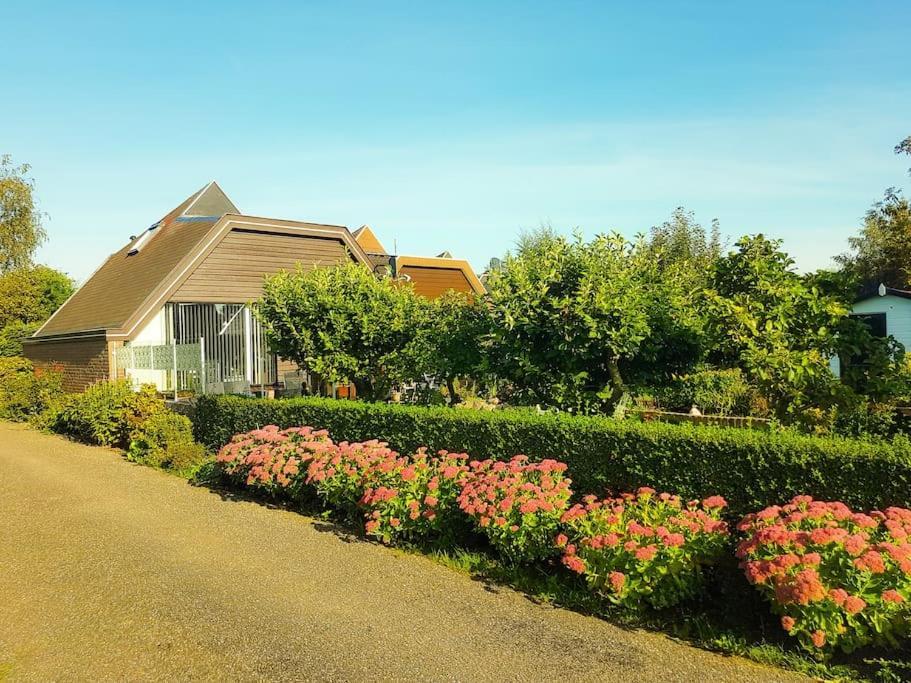 Lovely House Till 6 P. Near Amsterdam, Sea Apartment Opmeer Exterior photo